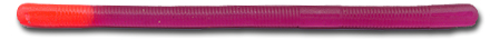 Light Purple Firetail Anise Worm® profile