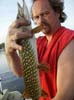 Northern Pike caught on Bluegill Anise Worm